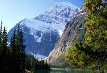 九游app-荷甲赛程吃紧，里昂转会期门线救险，引发热议，资深球员宣示担当的简单介绍-九游app